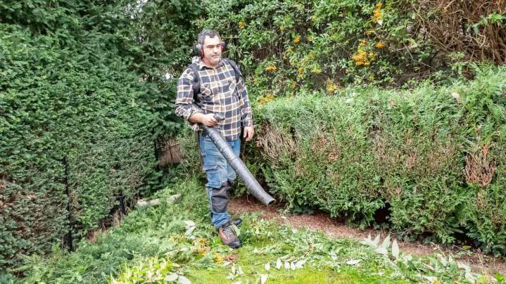 Travaux d’entretien espaces verts Rambouillet