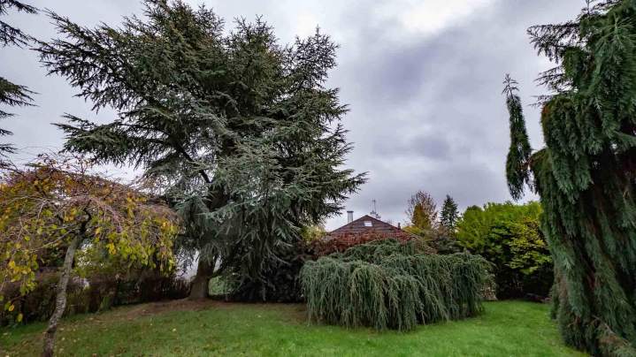 Entretien espaces verts Rambouillet