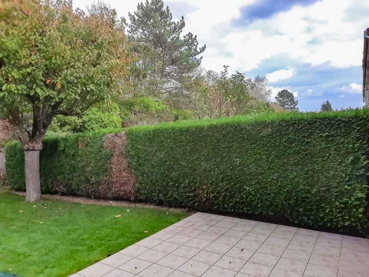 Travaux d’entretien espaces verts Rambouillet