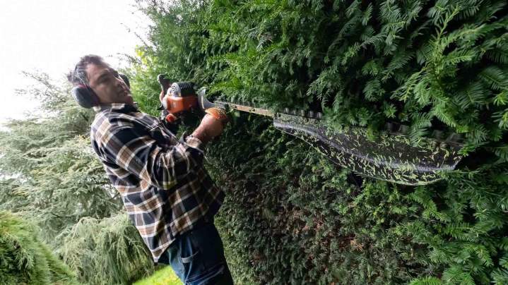 Entretien espaces verts Rambouillet