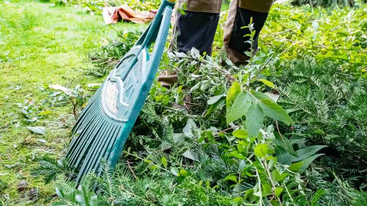 Travaux d’entretien espaces verts Rambouillet