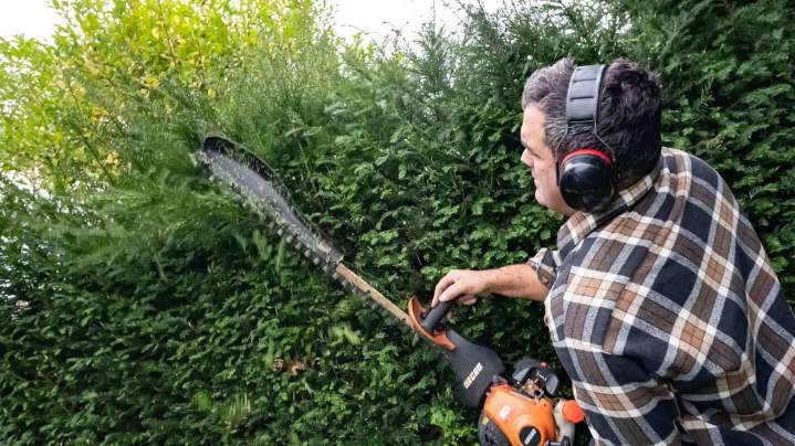 Travaux d’entretien espaces verts Rambouillet