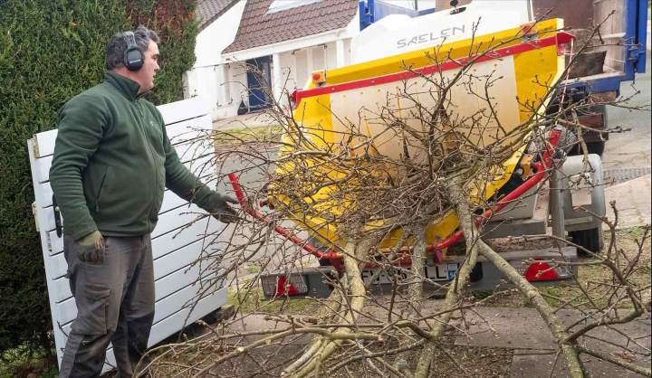 Élagage Rambouillet