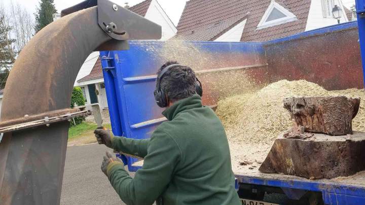 Abattage Rambouillet