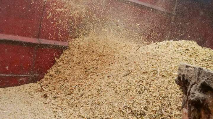 Expert en abattage d’arbres Rambouillet