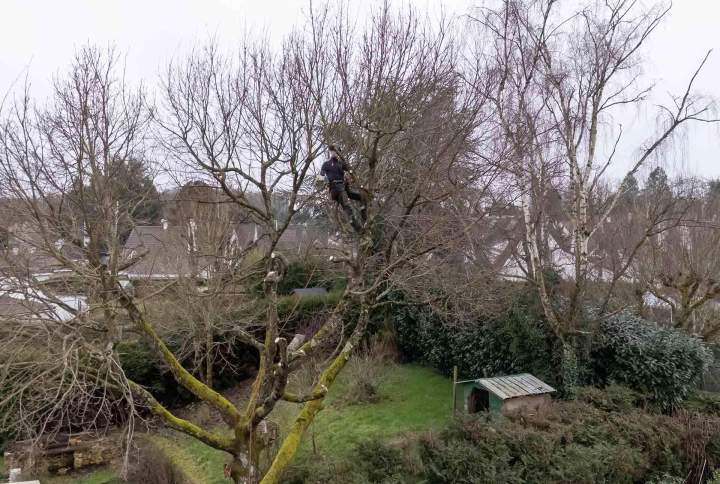 Travaux d’élagage Rambouillet