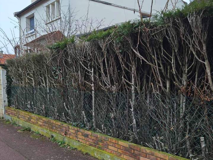 Pose rapide de clôtures Rambouillet