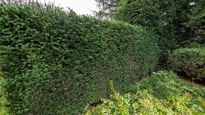 Travaux d’entretien espaces verts Rambouillet