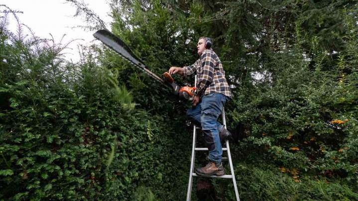 Entretien espaces verts Rambouillet