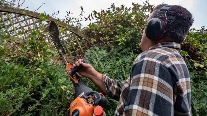 Entretien espaces verts Rambouillet