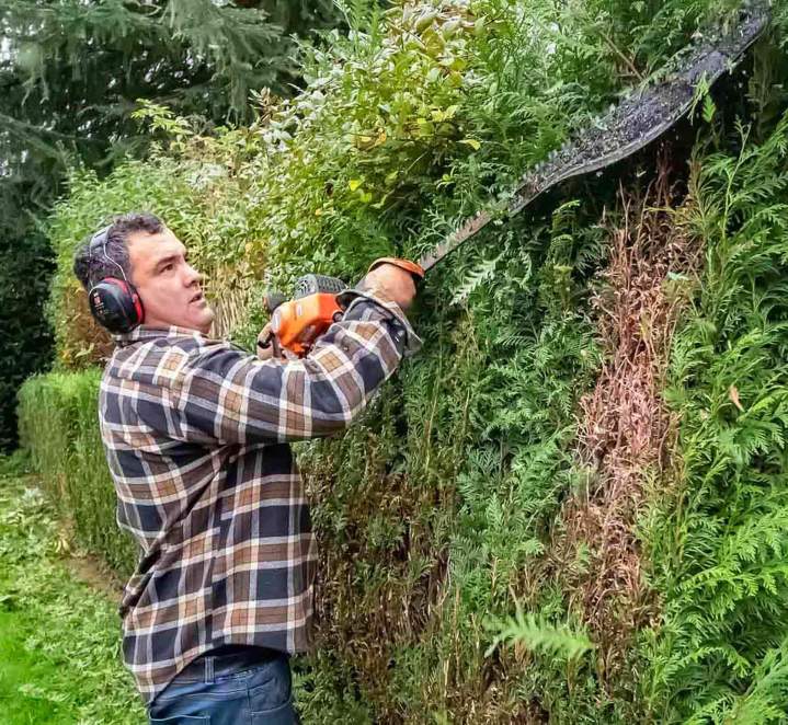 Travaux d’entretien espaces verts Rambouillet