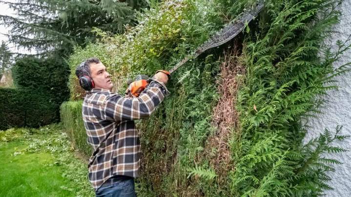 Travaux d’entretien espaces verts Rambouillet