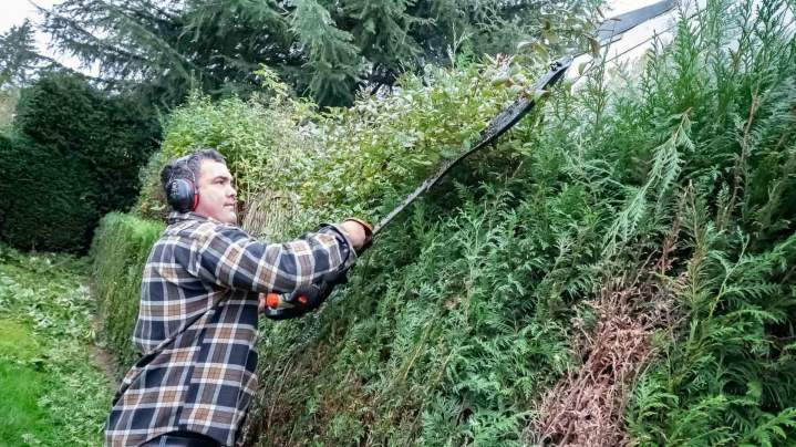Travaux d’entretien espaces verts Rambouillet