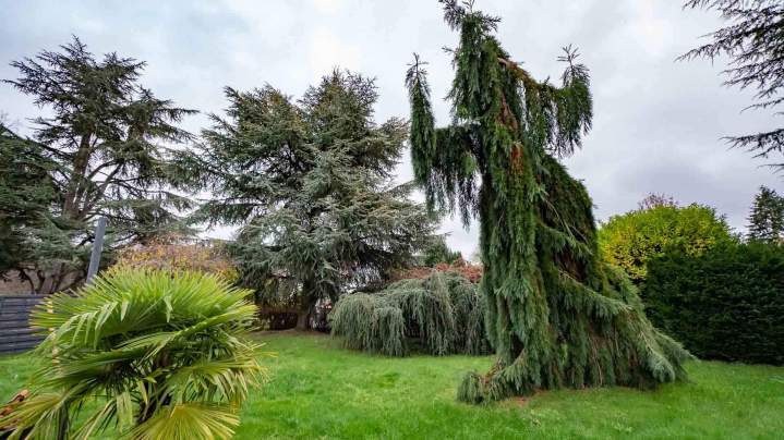 Travaux d’entretien espaces verts Rambouillet